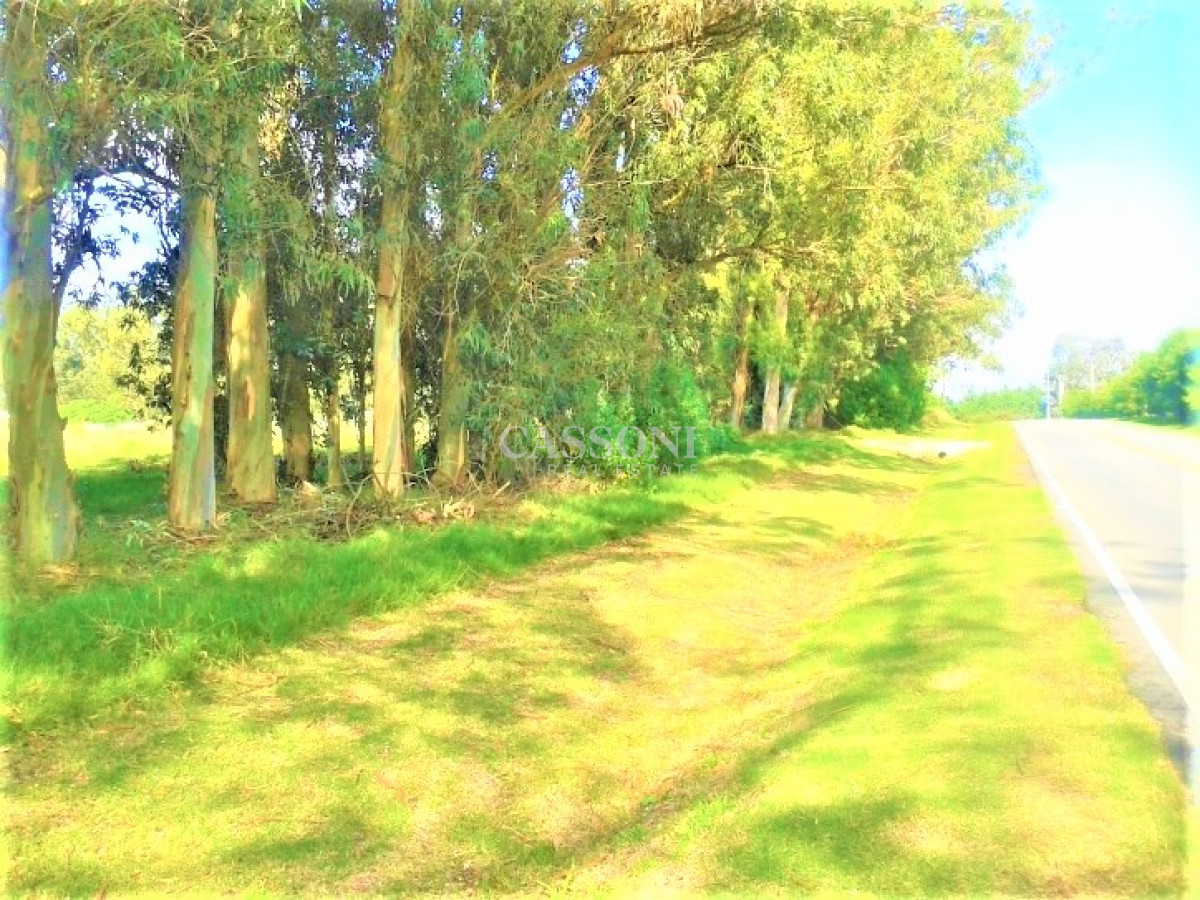 Terreno ID.1658 - Terrenos Juana de America La Barra El Tesoro