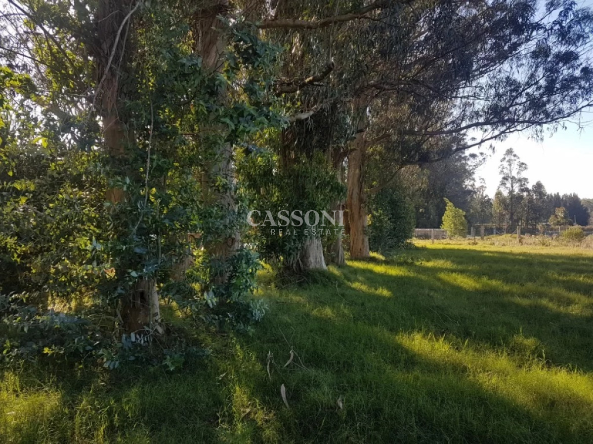 Terreno ID.1720 - TERRENO EL TESORO-MIRAMAR ACRES-ALTO 900 m2