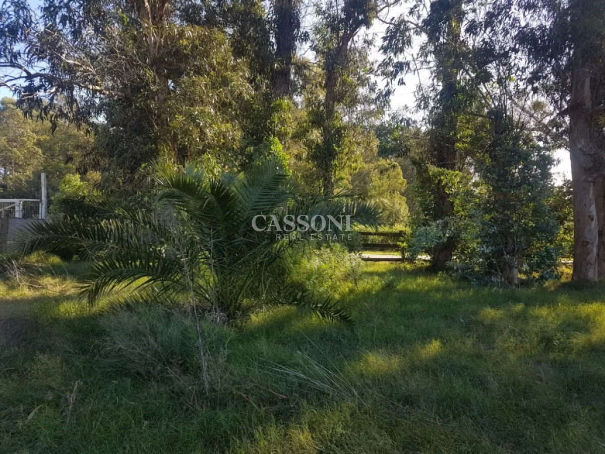 Terreno ID.1720 - TERRENO EL TESORO-MIRAMAR ACRES-ALTO 900 m2