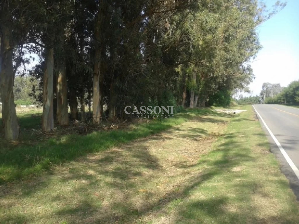 Terreno ID.1720 - TERRENO EL TESORO-MIRAMAR ACRES-ALTO 900 m2