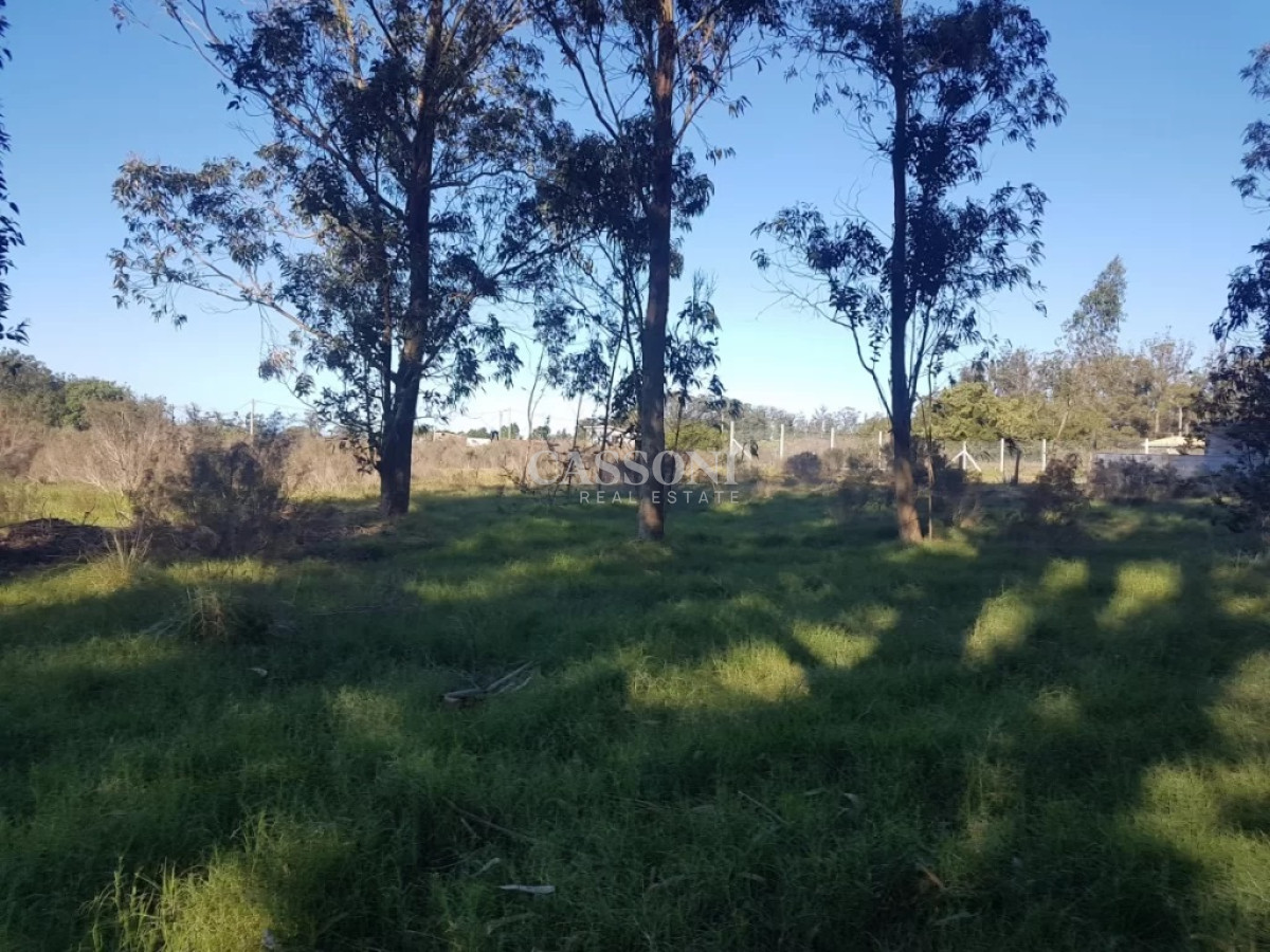 Terreno ID.1720 - TERRENO EL TESORO-MIRAMAR ACRES-ALTO 900 m2