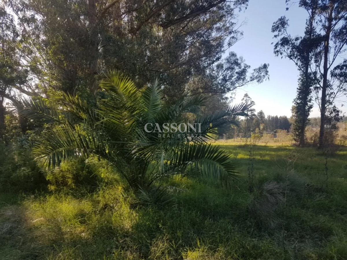 Terreno ID.1720 - TERRENO EL TESORO-MIRAMAR ACRES-ALTO 900 m2