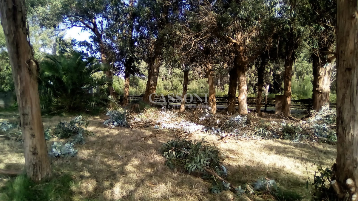 Terreno ID.1720 - TERRENO EL TESORO-MIRAMAR ACRES-ALTO 900 m2