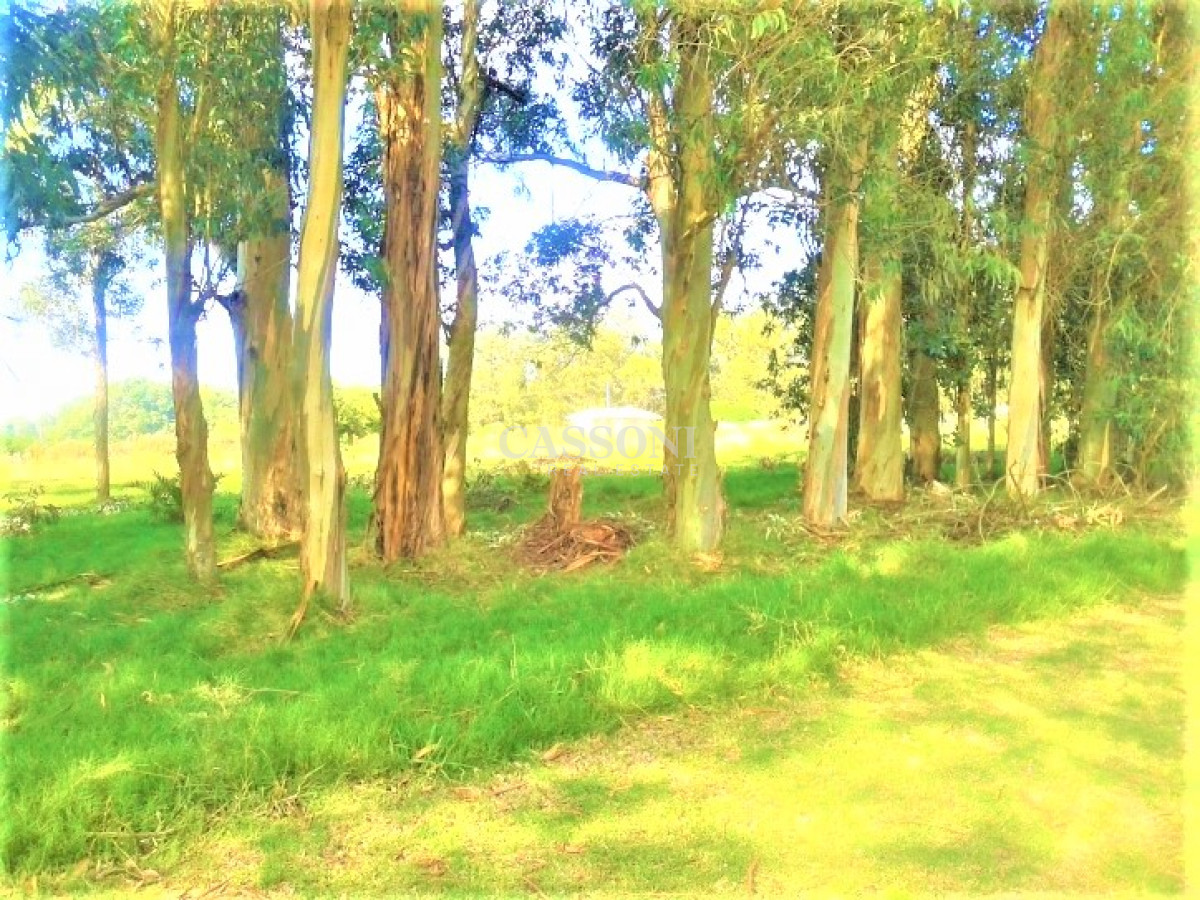 Terreno ID.1658 - Terrenos Juana de America La Barra El Tesoro