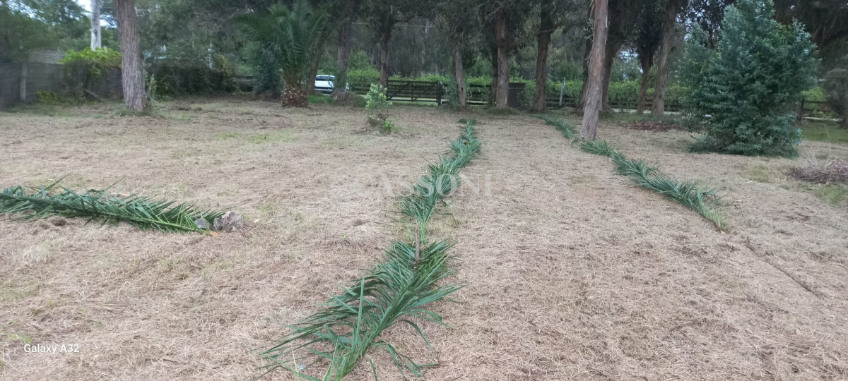Terreno ID.1720 - TERRENO EL TESORO-MIRAMAR ACRES-ALTO 900 m2