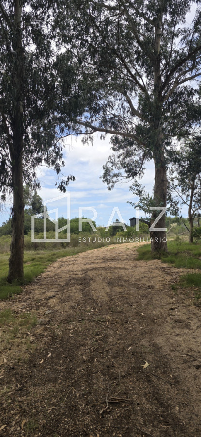 Terreno ID.12086 - TERRENOS EN VENTA Miramar Acre- Camino Eguzquiza 1800 mts 