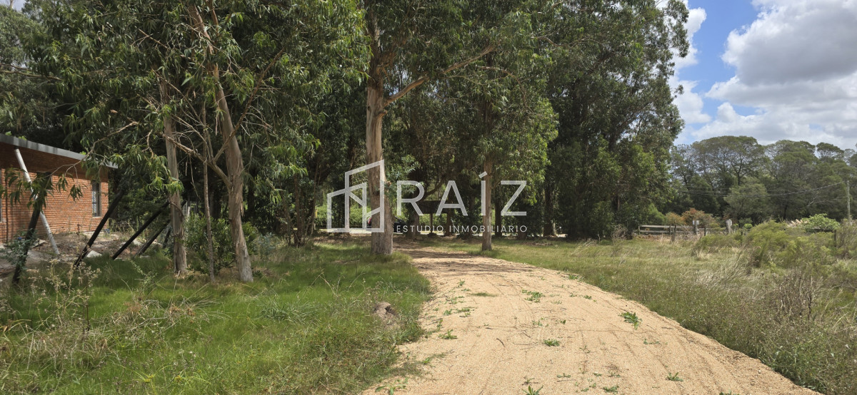 Terreno ID.12086 - TERRENOS EN VENTA Miramar Acre- Camino Eguzquiza 1800 mts 