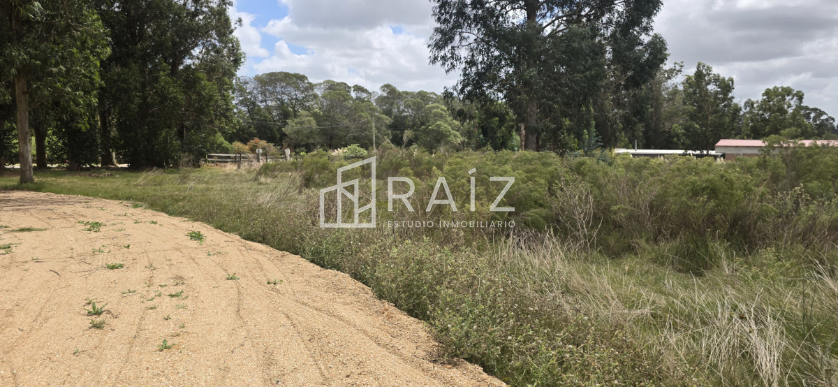 Terreno ID.12086 - TERRENOS EN VENTA Miramar Acre- Camino Eguzquiza 1800 mts 