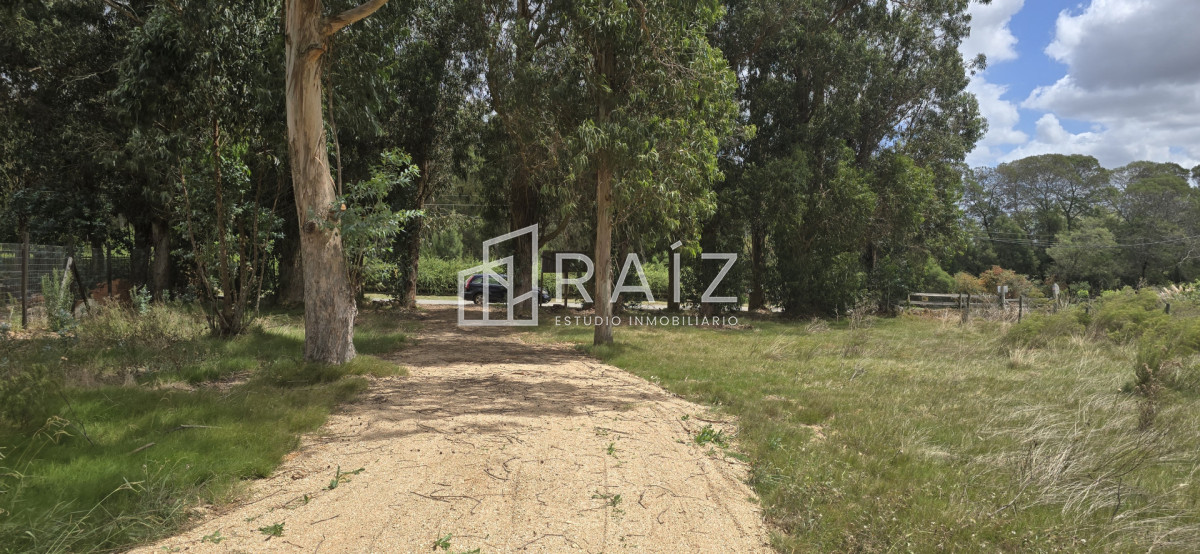 Terreno ID.12086 - TERRENOS EN VENTA Miramar Acre- Camino Eguzquiza 1800 mts 