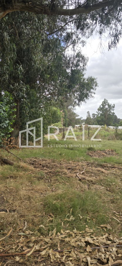 Terreno ID.12086 - TERRENOS EN VENTA Miramar Acre- Camino Eguzquiza 1800 mts 