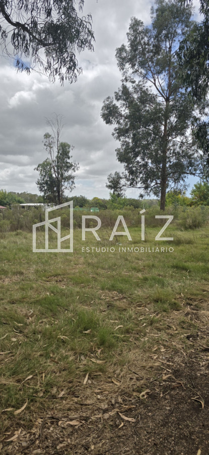Terreno ID.12086 - TERRENOS EN VENTA Miramar Acre- Camino Eguzquiza 1800 mts 
