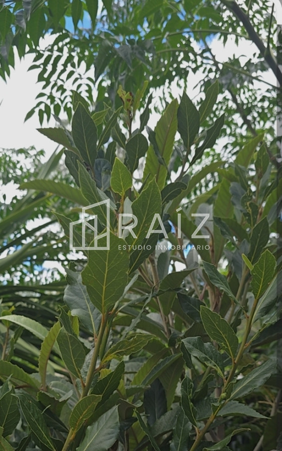 Terreno ID.12086 - TERRENOS EN VENTA Miramar Acre- Camino Eguzquiza 1800 mts 