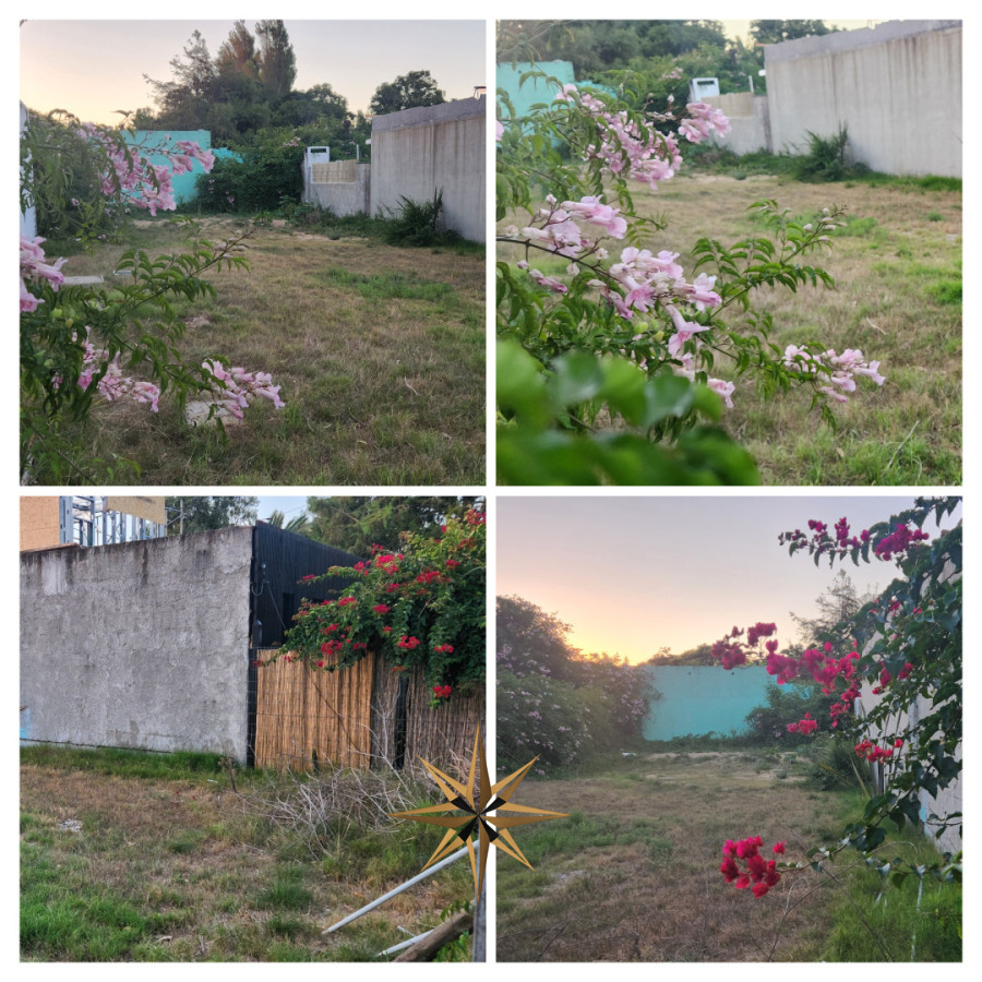 Terreno
