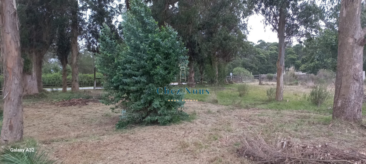 Terreno ID.546 - TERRENO EL TESORO-MIRAMAR ACRES-ALTO 900 m2
