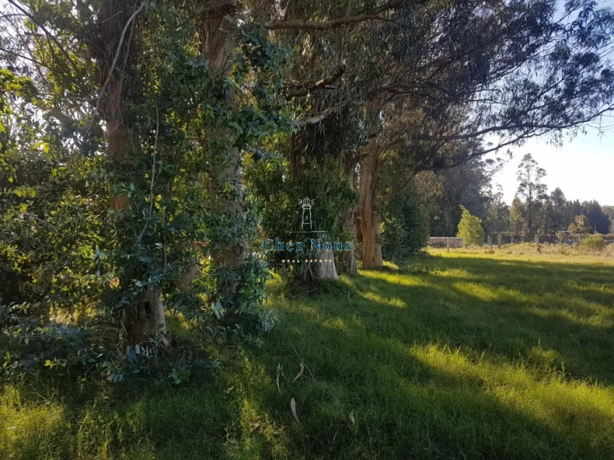 Terreno ID.546 - TERRENO EL TESORO-MIRAMAR ACRES-ALTO 900 m2