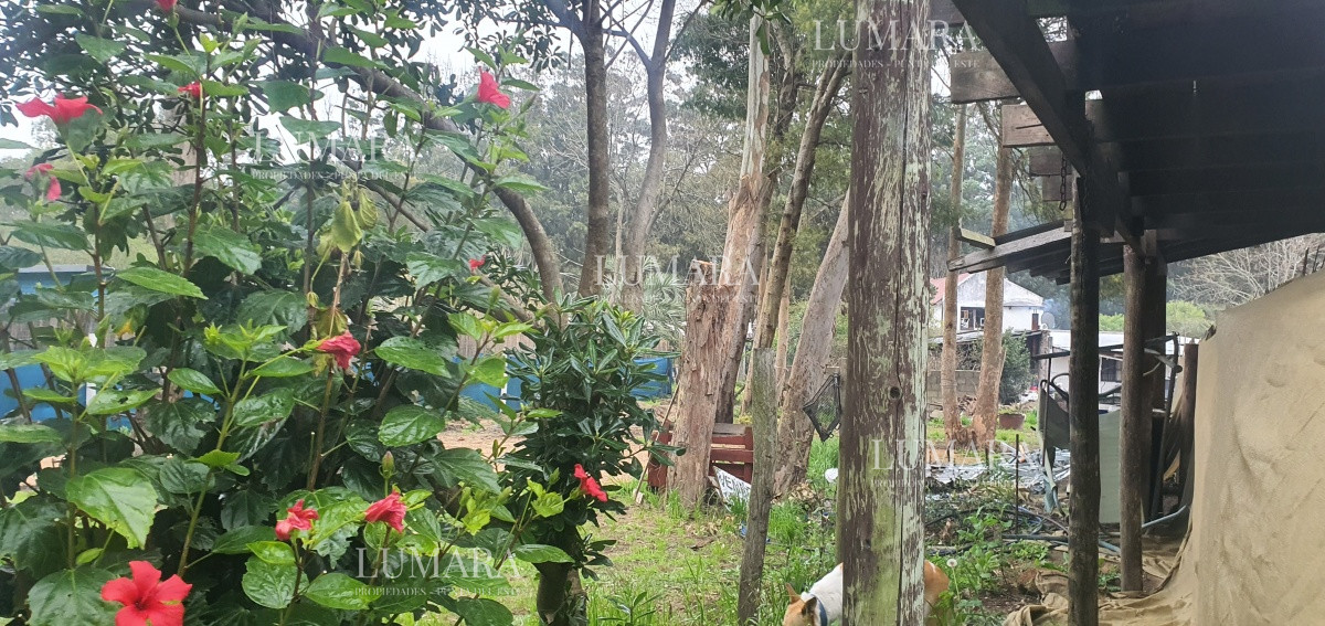 Terreno ID.2863 - TERRENO EN VENTA - LA MEJOR ZONA DE EL TESORO