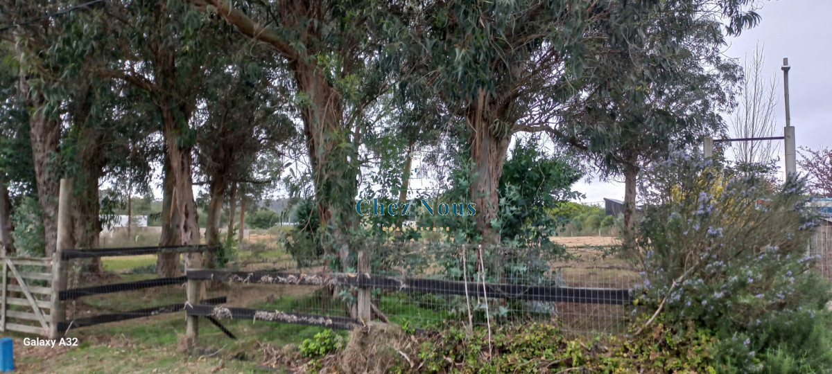Terreno ID.546 - TERRENO EL TESORO-MIRAMAR ACRES-ALTO 900 m2