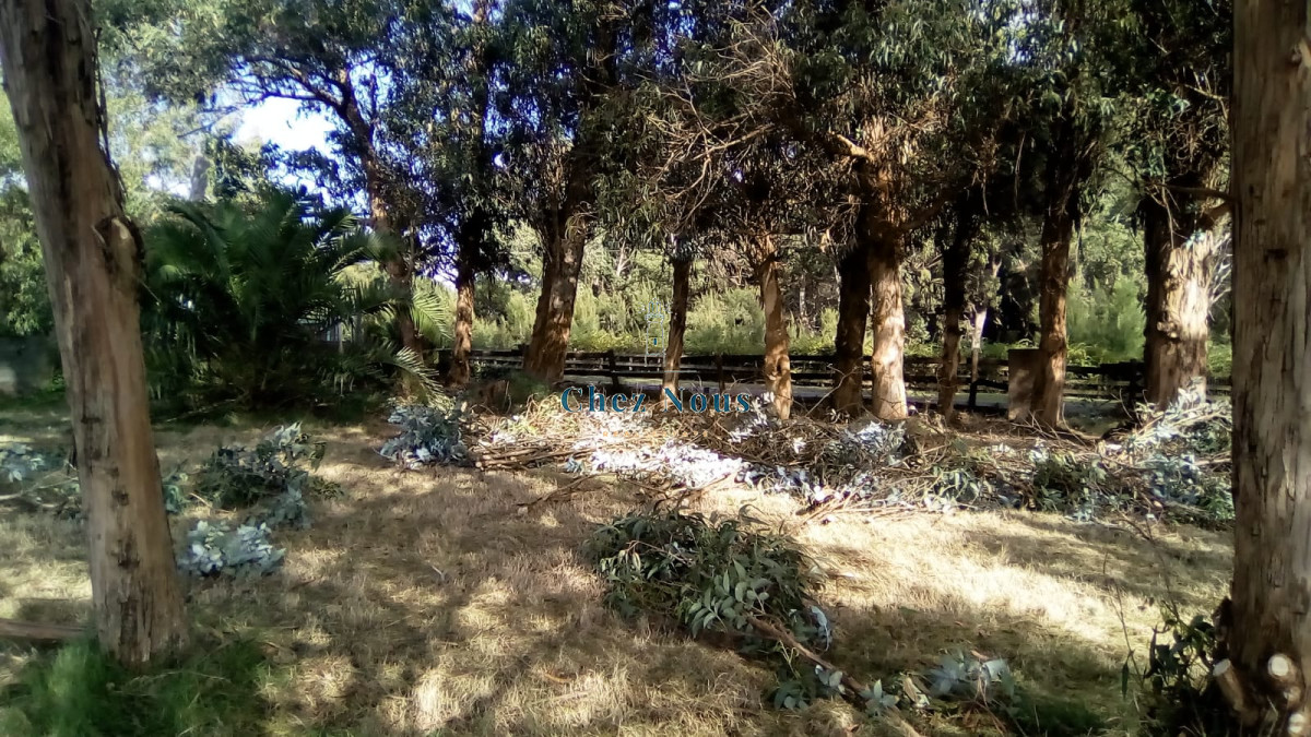 Terreno ID.546 - TERRENO EL TESORO-MIRAMAR ACRES-ALTO 900 m2