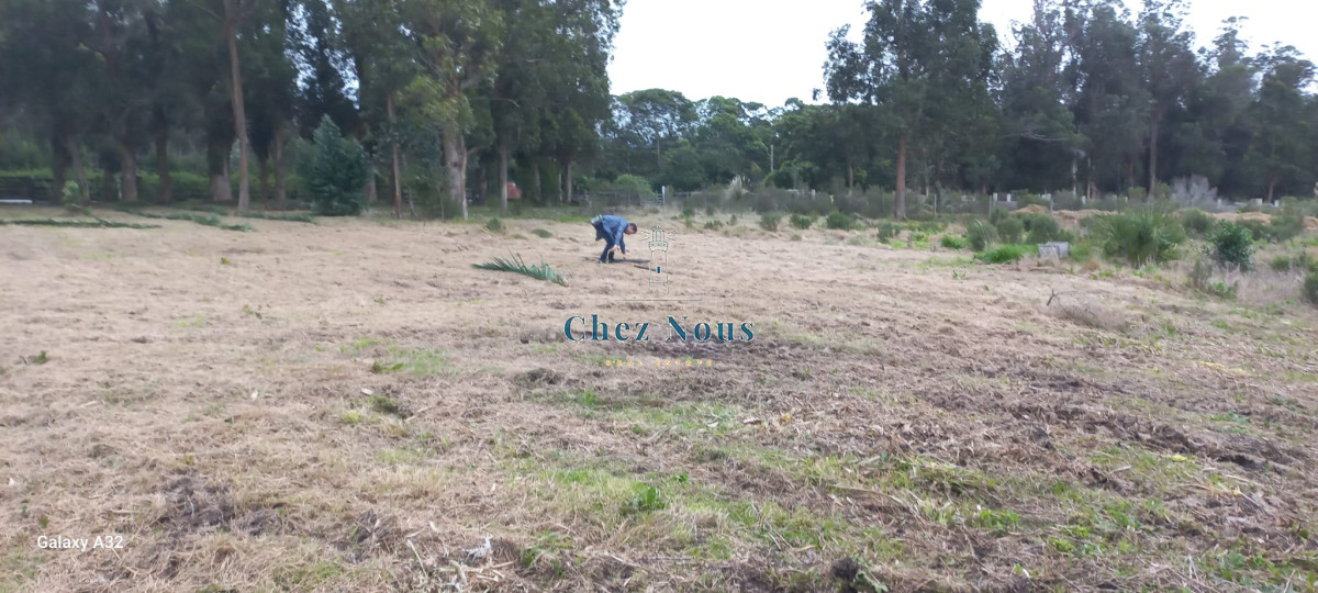Terreno ID.546 - TERRENO EL TESORO-MIRAMAR ACRES-ALTO 900 m2