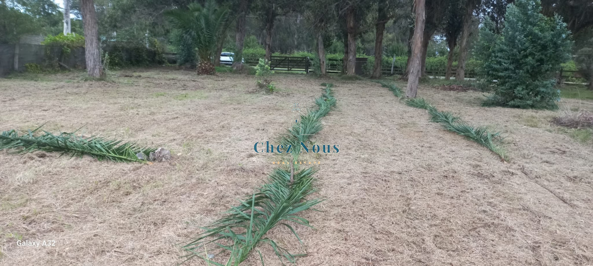 Terreno ID.546 - TERRENO EL TESORO-MIRAMAR ACRES-ALTO 900 m2