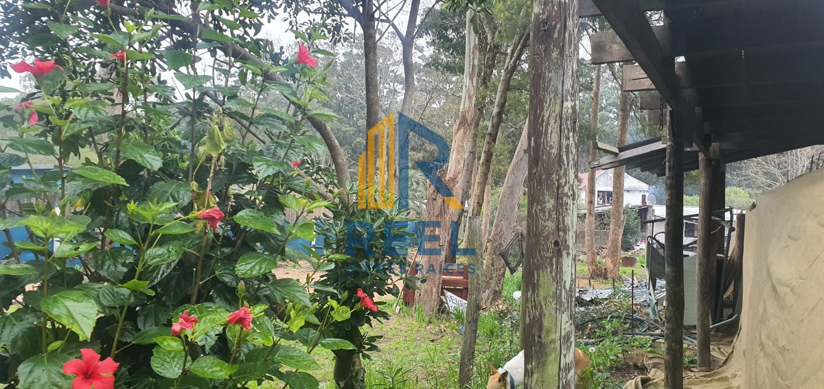 Terreno ID.273 - TERRENO EN VENTA - LA MEJOR ZONA DE EL TESORO