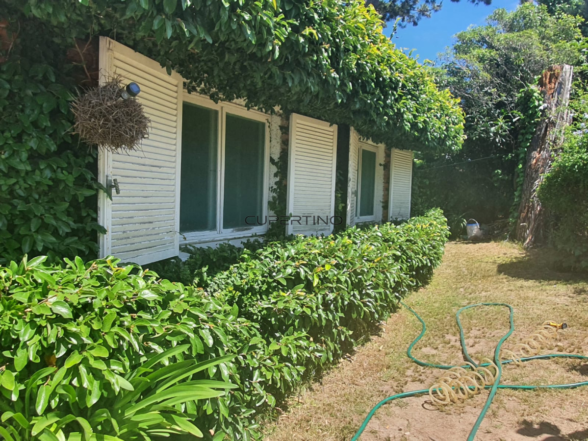Casa en Punta del Este, Marconi — foto 3