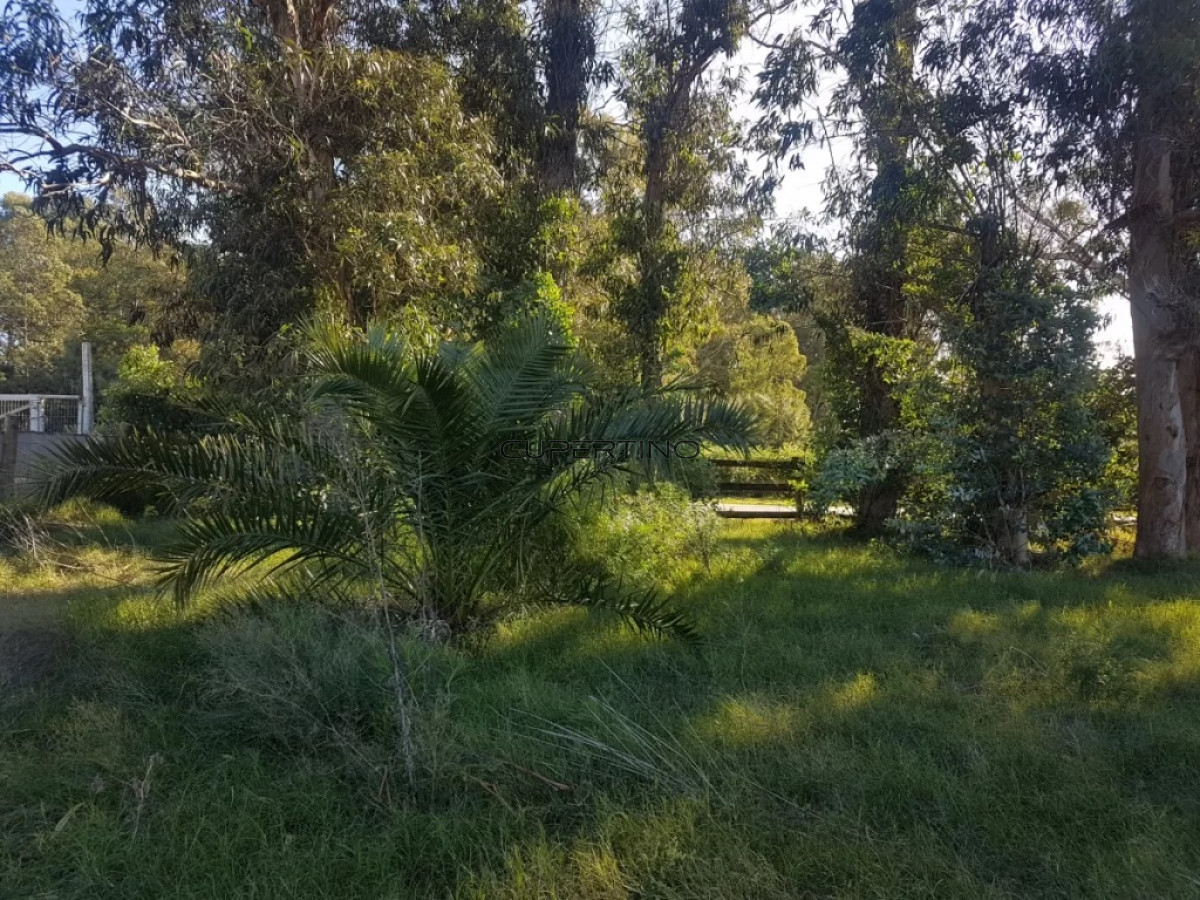 TERRENO EL TESORO-MIRAMAR ACRES-ALTO 1800m2 — foto 15