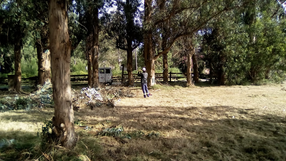TERRENO EL TESORO-MIRAMAR ACRES-ALTO 1800m2 — foto 8