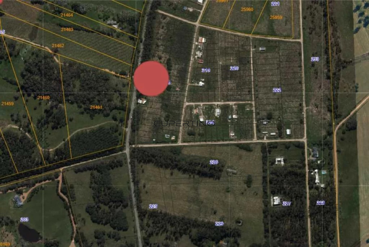 TERRENO EL TESORO-MIRAMAR ACRES-ALTO 1800m2 — foto 6