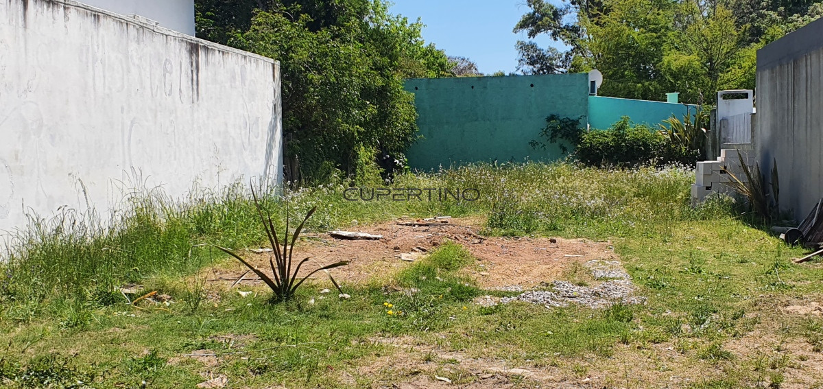 Terreno en La Barra, El Tesoro — foto 5