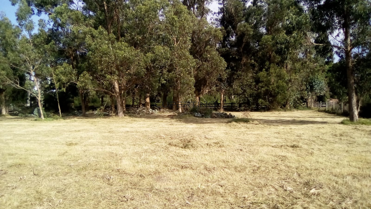 TERRENO EL TESORO-MIRAMAR ACRES-ALTO 1800m2 — foto 9
