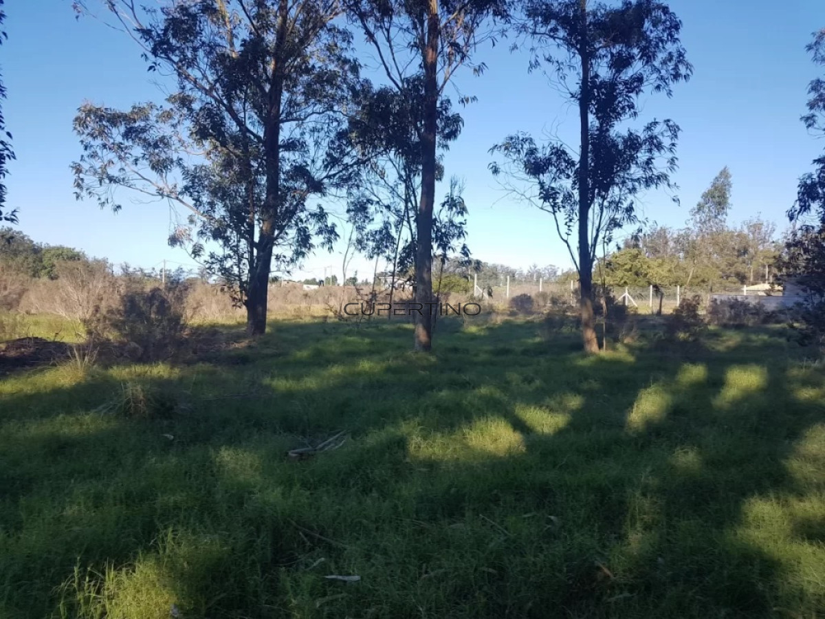 TERRENO EL TESORO-MIRAMAR ACRES-ALTO 1800m2 — foto 14