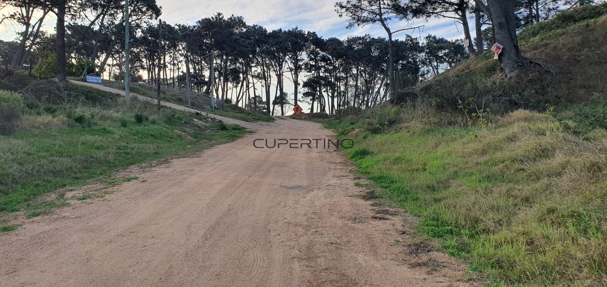 Terreno en Punta del Este, Rincón del Indio — foto 8