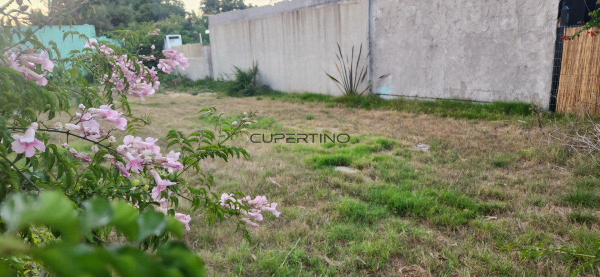 Terreno en La Barra, El Tesoro — foto 18