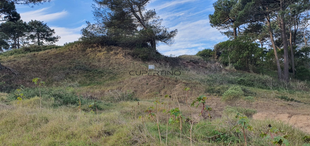 Terreno en Punta del Este, Rincón del Indio — foto 9