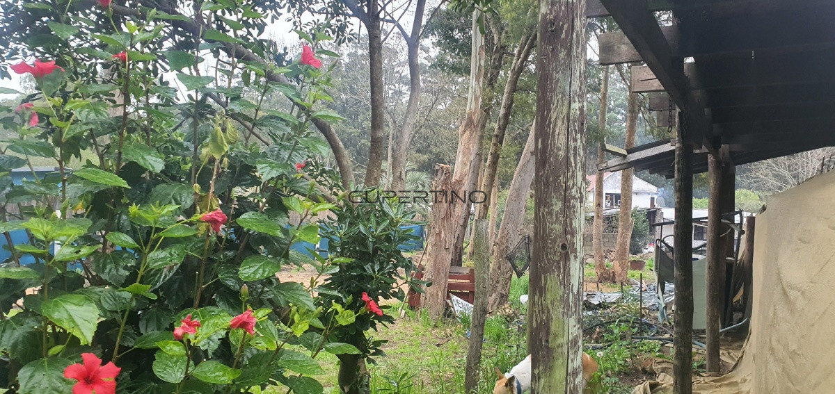 Terreno en La Barra, El Tesoro — foto 7
