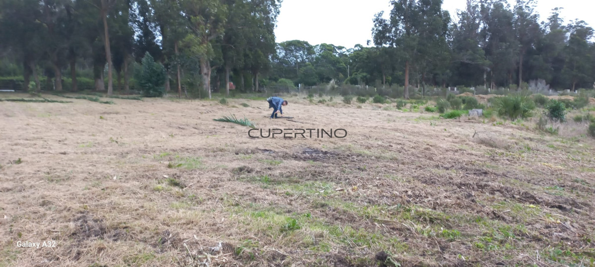 TERRENO EL TESORO-MIRAMAR ACRES-ALTO 1800m2 — foto 18