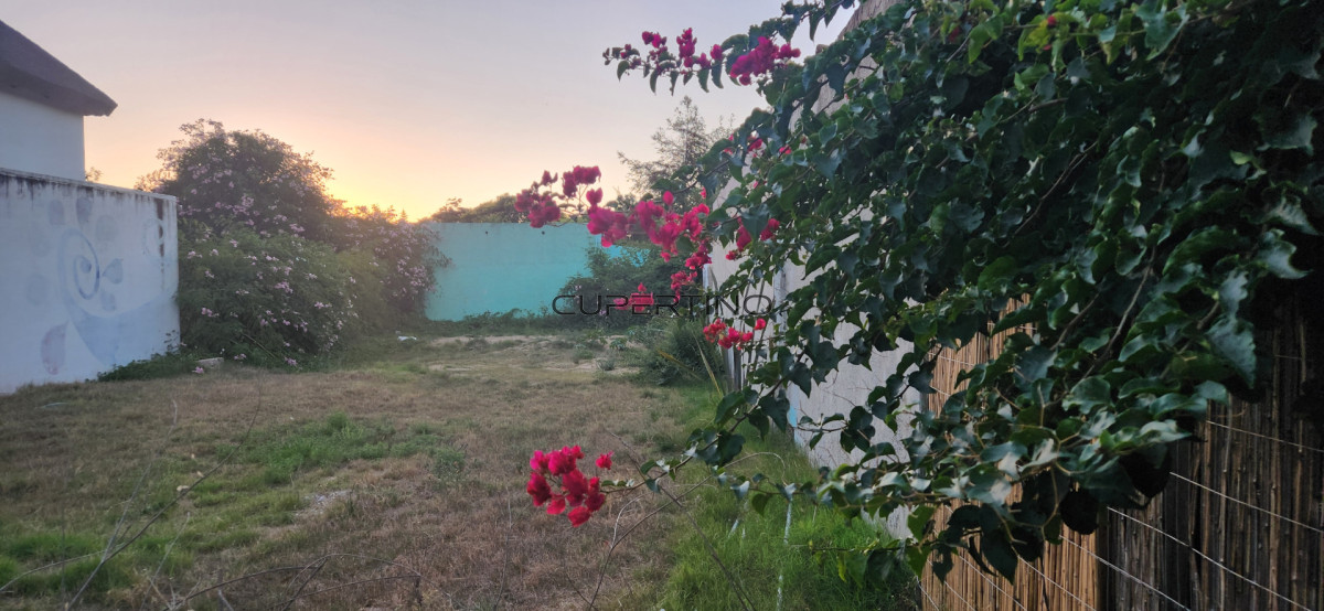 Terreno en La Barra, El Tesoro — foto 1