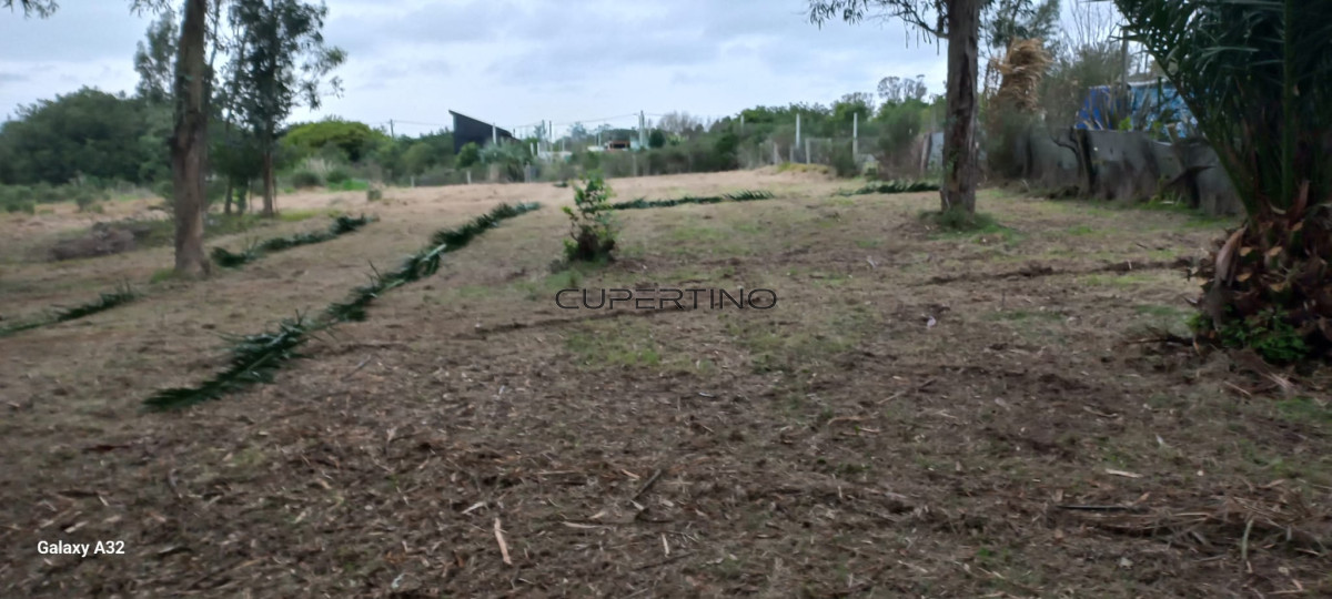 TERRENO EL TESORO-MIRAMAR ACRES-ALTO 1800m2 — foto 21