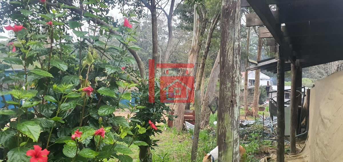 Terreno ID.66 - TERRENO EN VENTA - LA MEJOR ZONA DE EL TESORO