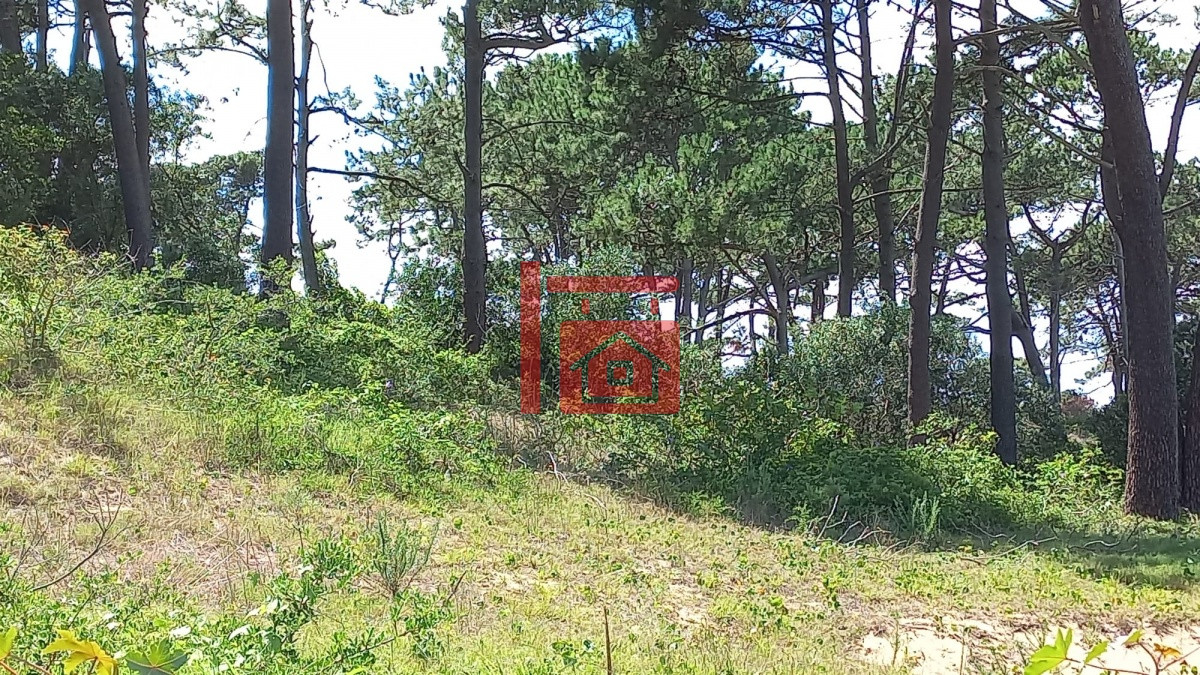 Terreno ID.709 - VENTA 1001 m2 EN RINCÓN DEL INDIO -PUNTA DEL ESTE