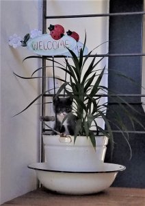 ALQUILER TEMPORADA CÓMODA CASA EN LA JUANITA