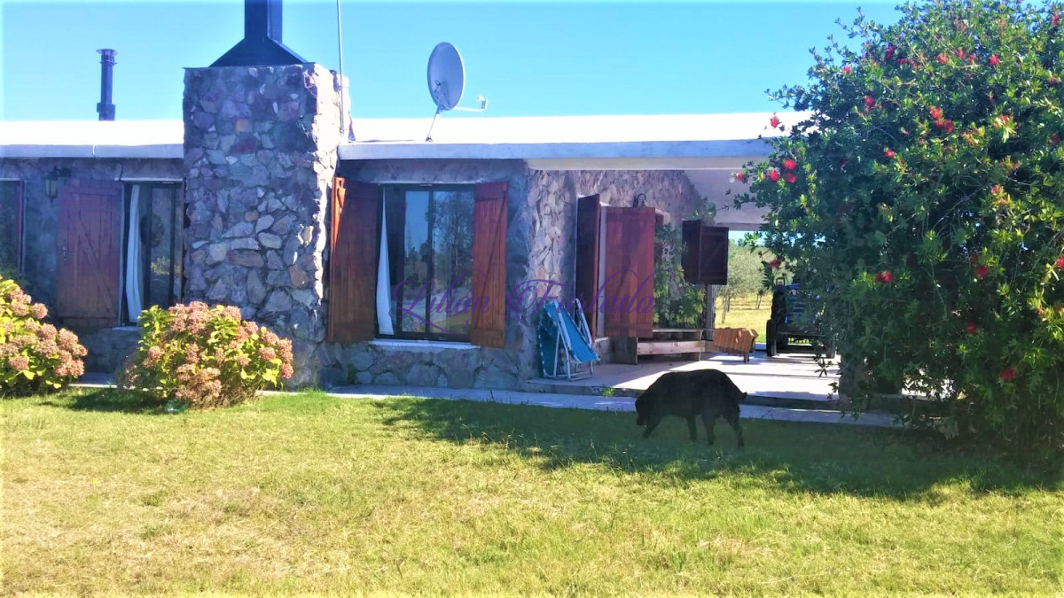 Foto 1