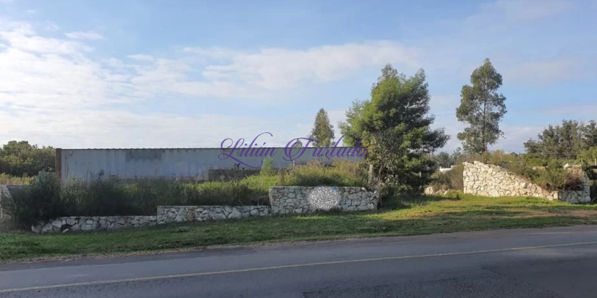 El Tesoro - GoPunta - Portal Inmobiliario de Punta del Este - Maldonado