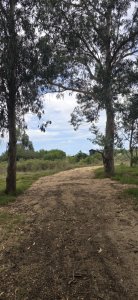 TERRENOS EN VENTA Miramar Acre- Camino Eguzquiza 1800 mts 