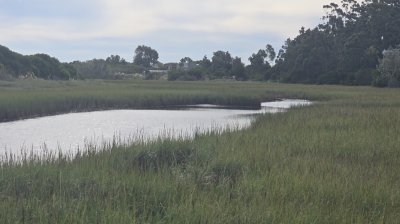 Terreno en El Tesoro