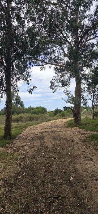 TERRENOS EN VENTA Miramar Acre- Camino Eguzquiza 1800 mts 