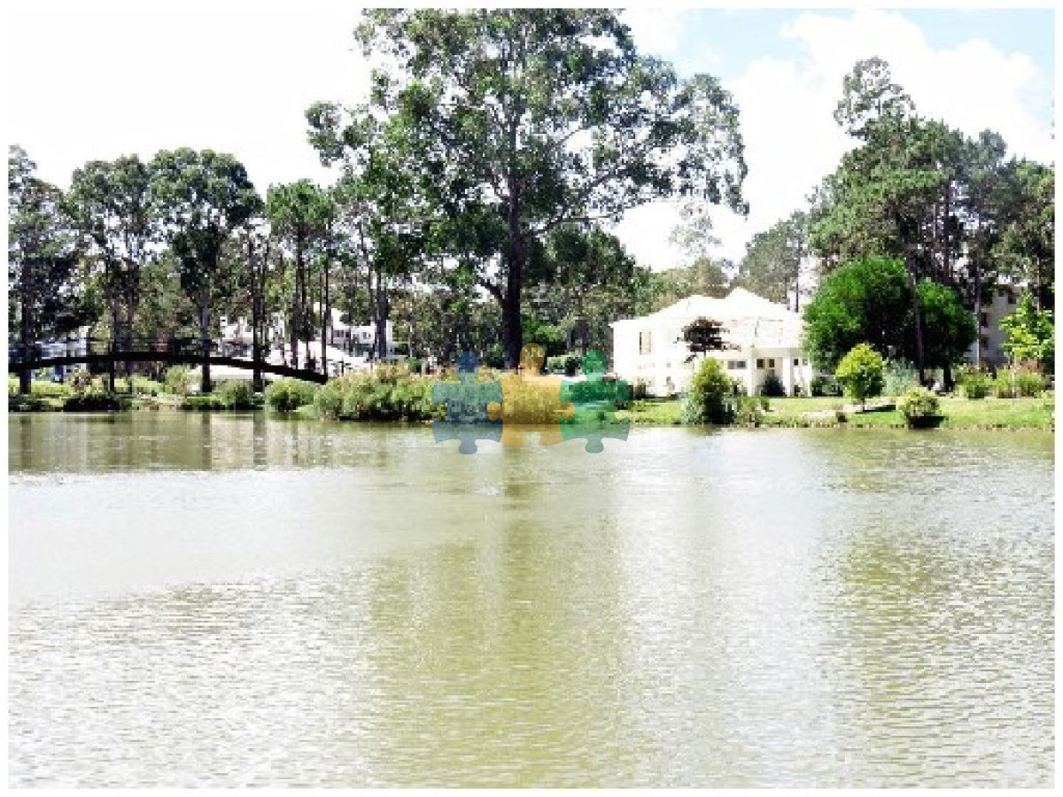 Solanas - GoPunta - Portal Inmobiliario de Punta del Este - Maldonado