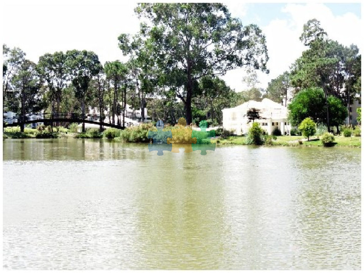 Solanas - GoPunta - Portal Inmobiliario de Punta del Este - Maldonado