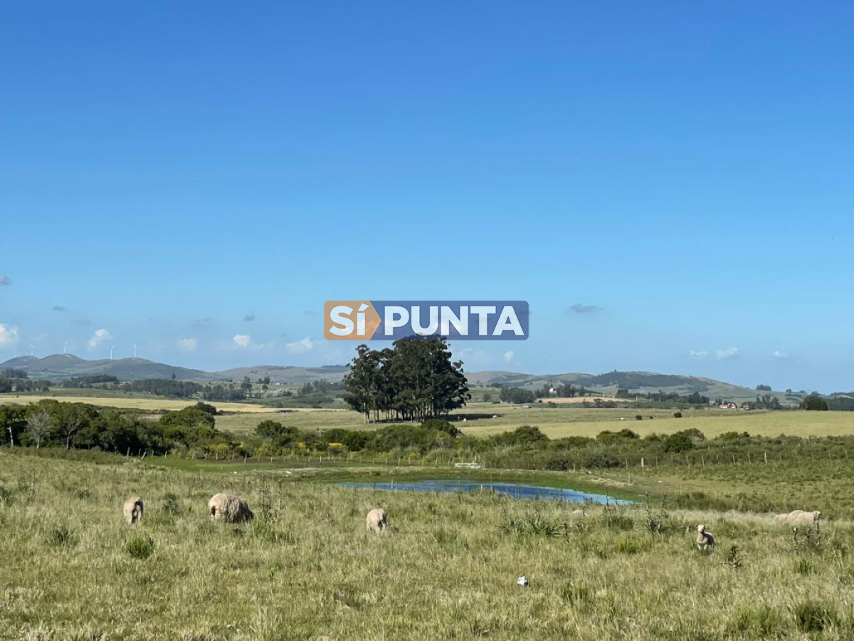 Chacra ID.13430 - Chacra en Maldonado en oportunidad 